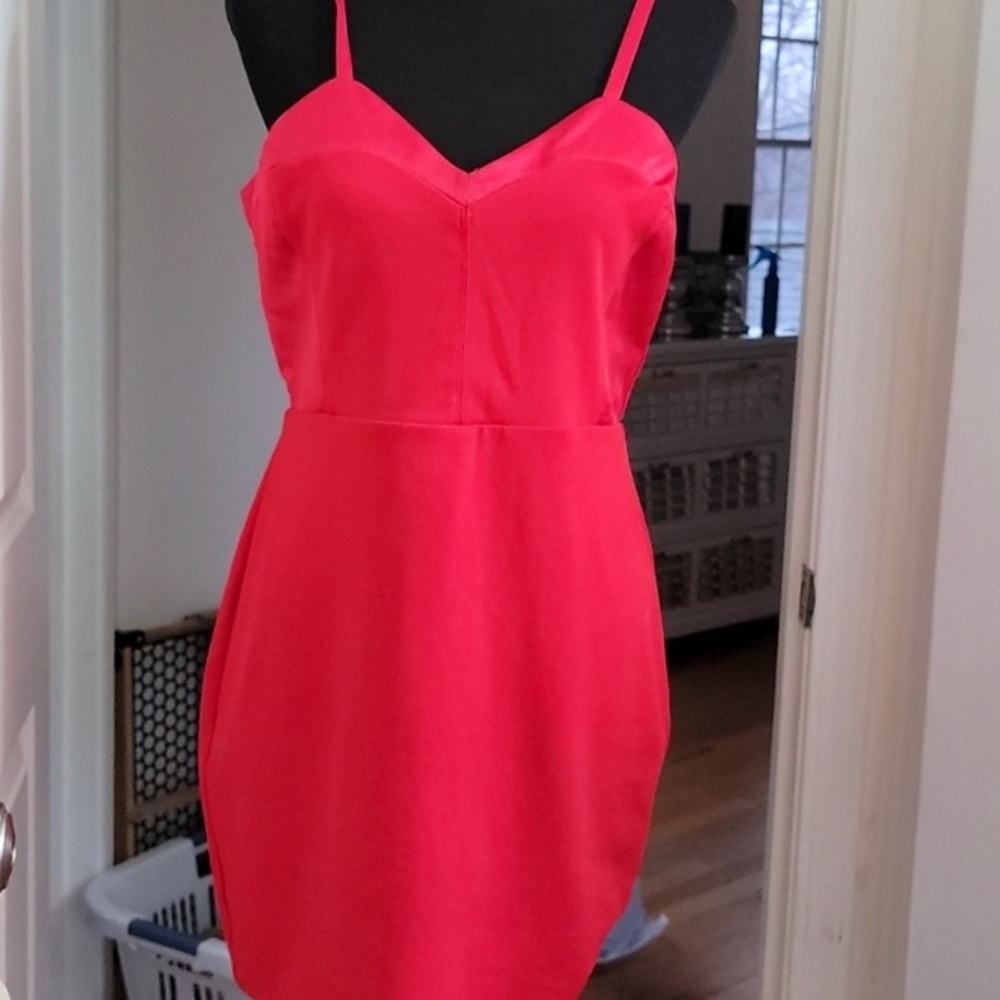 Express Sweatheart Dress